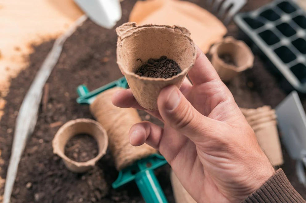 Une main d'homme tenant un pot biodégradable au dessus d'un espace de rempotage pour ses plantes