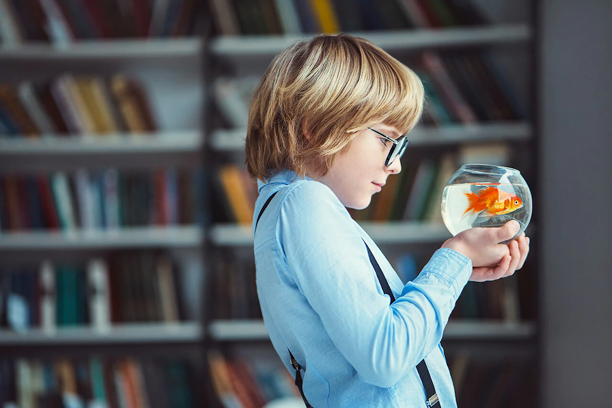 comment déménager un aquarium ?