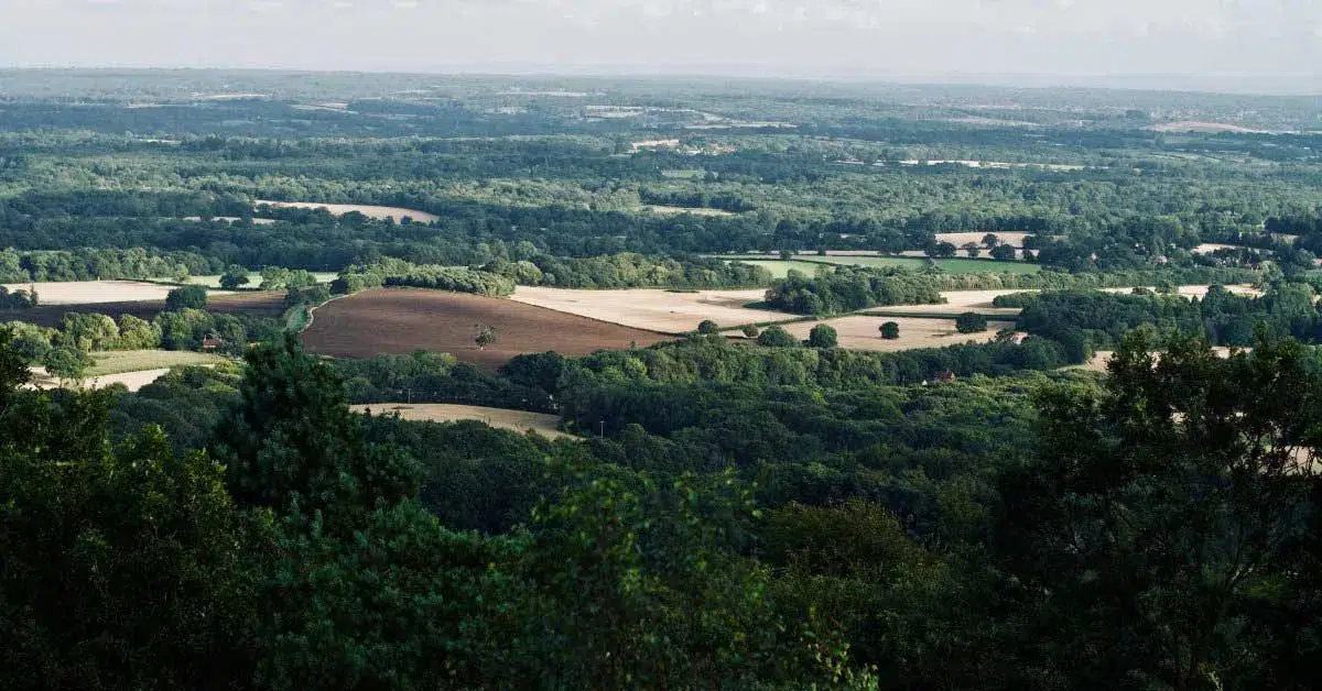 8 best places to live in Surrey UK