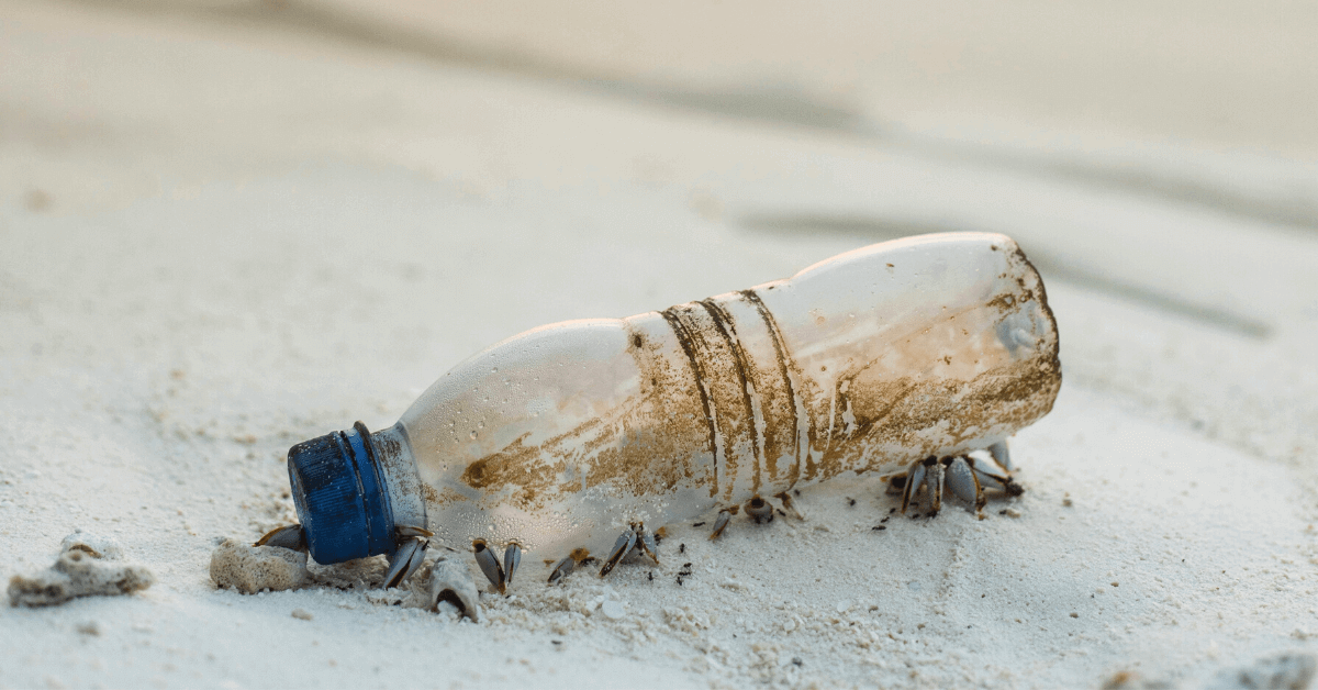 How to Reduce Plastic Use 18 Simple Ways (for 2024)