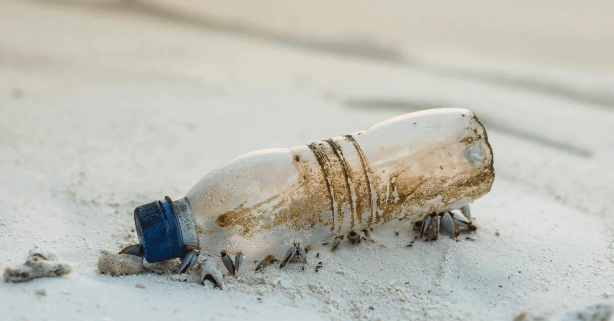 A plastic bottle washed up on the sand