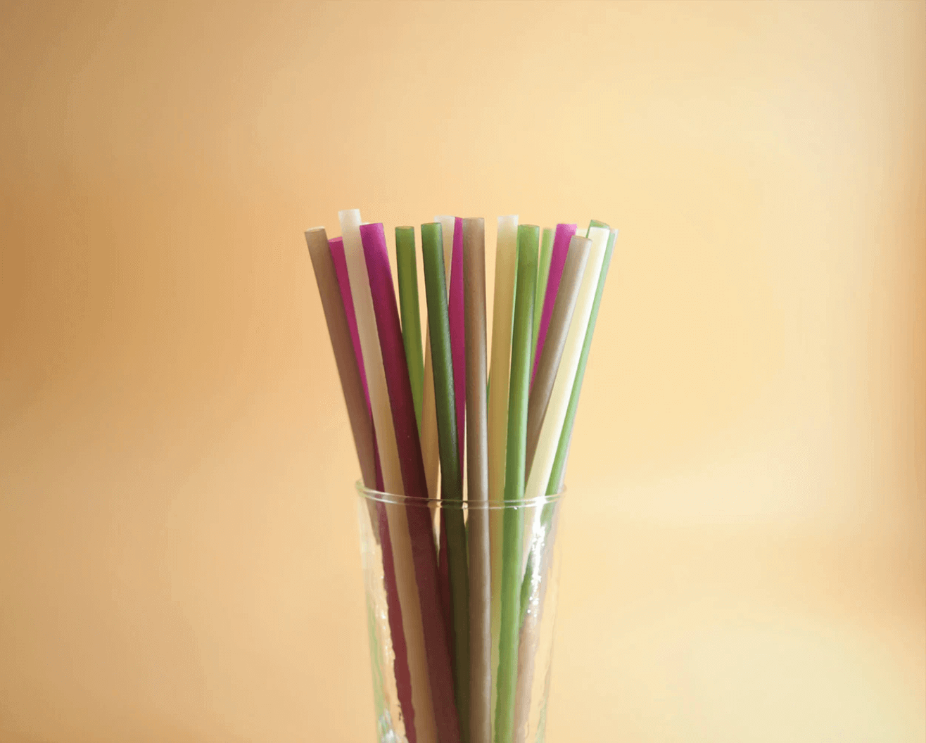 Stop-Using-Plastic-Straws