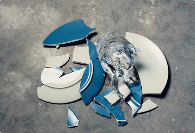 a broken plate and glass on the floor