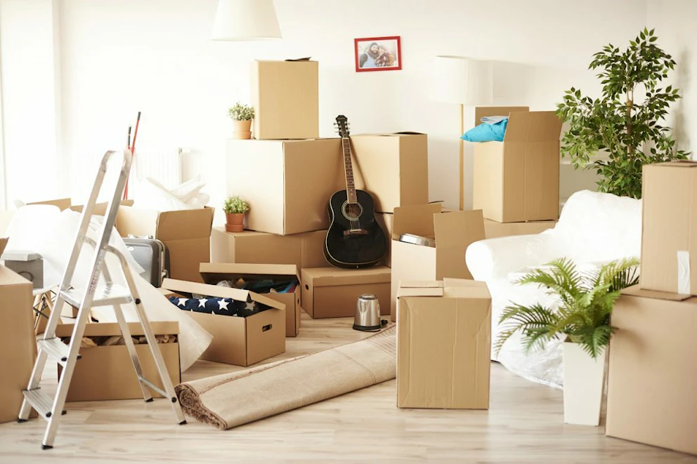 Une pièce remplie de cartons de déménagement, de plantes et de matériel pour déménager