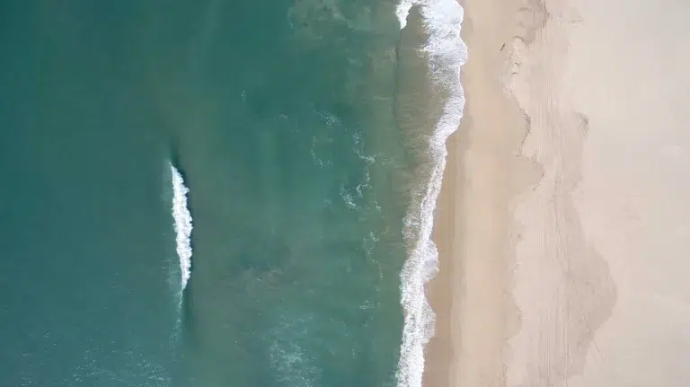 5 Steps for an Easy Move for Students