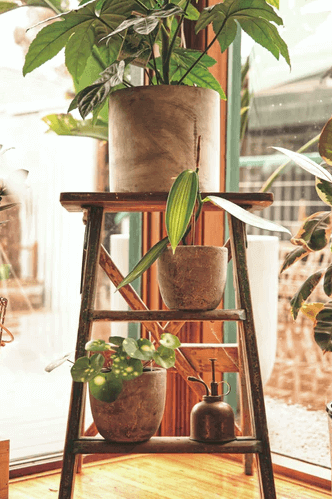 Ladder-for-Shoe-Storage