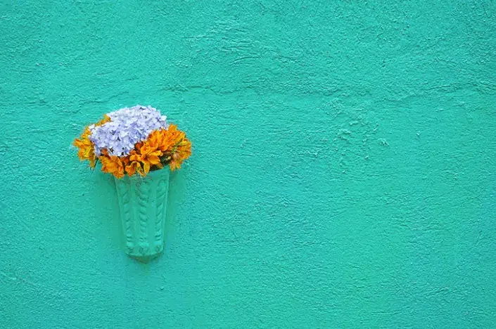 A flower pot nestled on a colorful wall