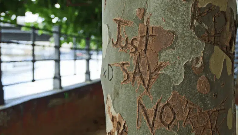 The message just say no written on a tree