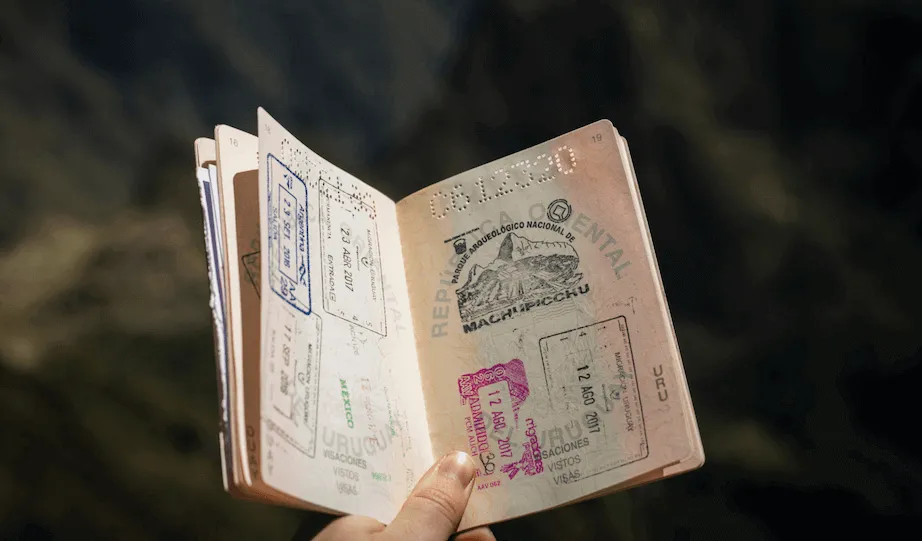 Travel visa stamps