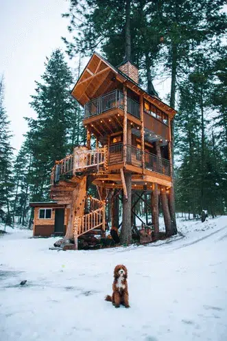 Build Your Dream Treehouse