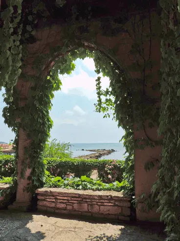 Create A Vertical Garden