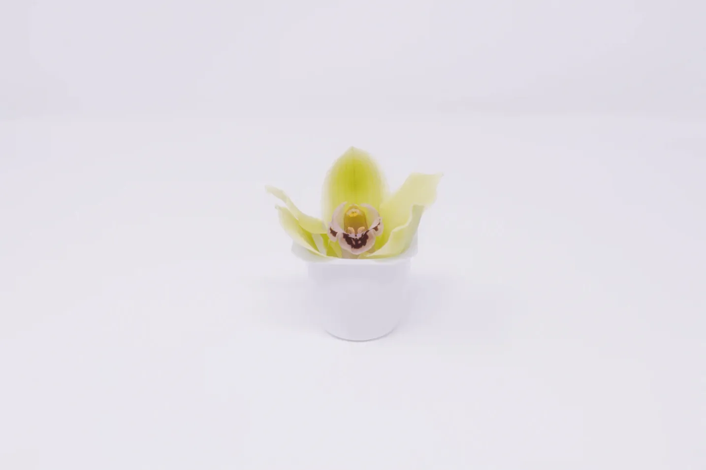 Repurpose Your Plastic