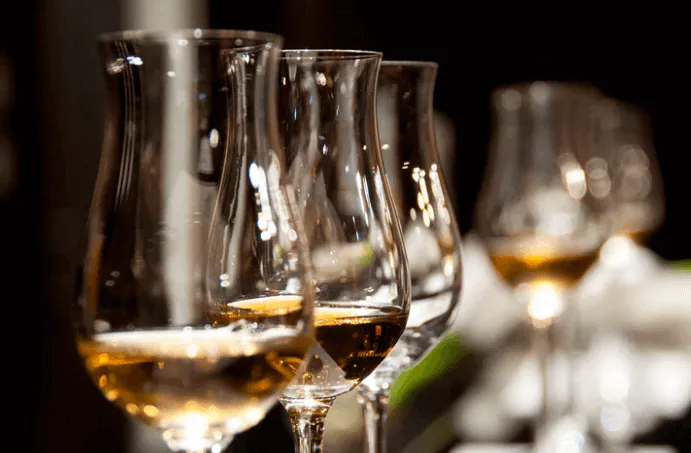 Wine Glasses on a Table