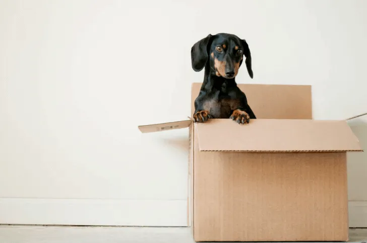 store items that are not essential