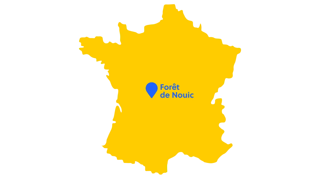 youstock ecotree forest