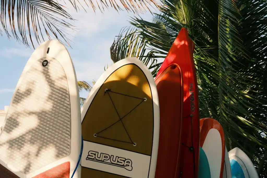 Planches de surf