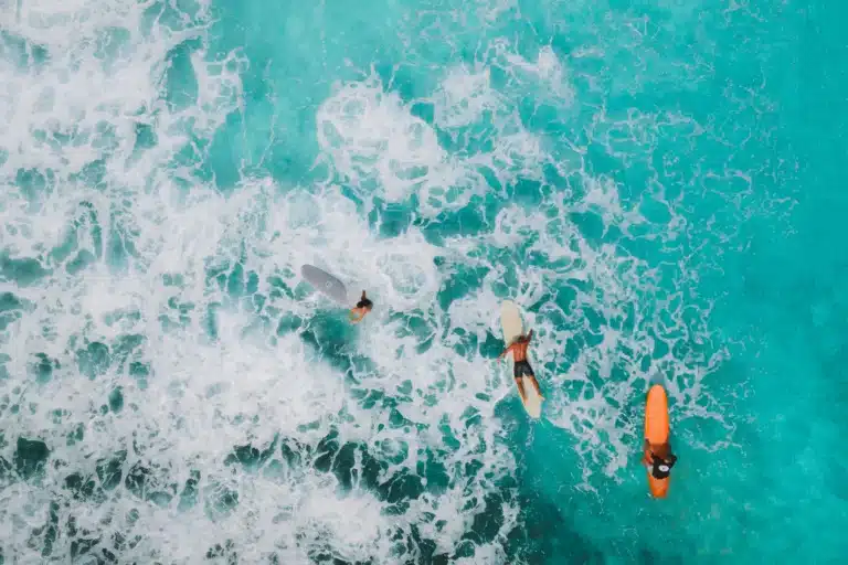 groupe de personne qui surf dans l'eau